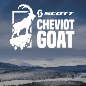 Cheviot Goat